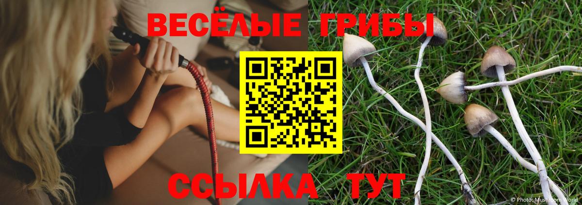 Псилоцибиновые грибы мицелий Батайск